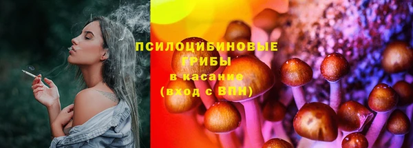 ПСИЛОЦИБИНОВЫЕ ГРИБЫ Заводоуковск