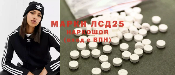 ПСИЛОЦИБИНОВЫЕ ГРИБЫ Заводоуковск