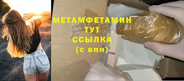 ПСИЛОЦИБИНОВЫЕ ГРИБЫ Заводоуковск