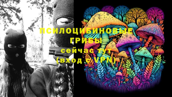 ПСИЛОЦИБИНОВЫЕ ГРИБЫ Заводоуковск