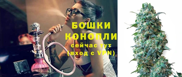 гашик Заволжье