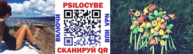 Купить закладки  Шали  Галлюциногенные грибы MAGIC MUSHROOMS 