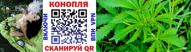 Купить закладки  Шали  Каннабис индика 